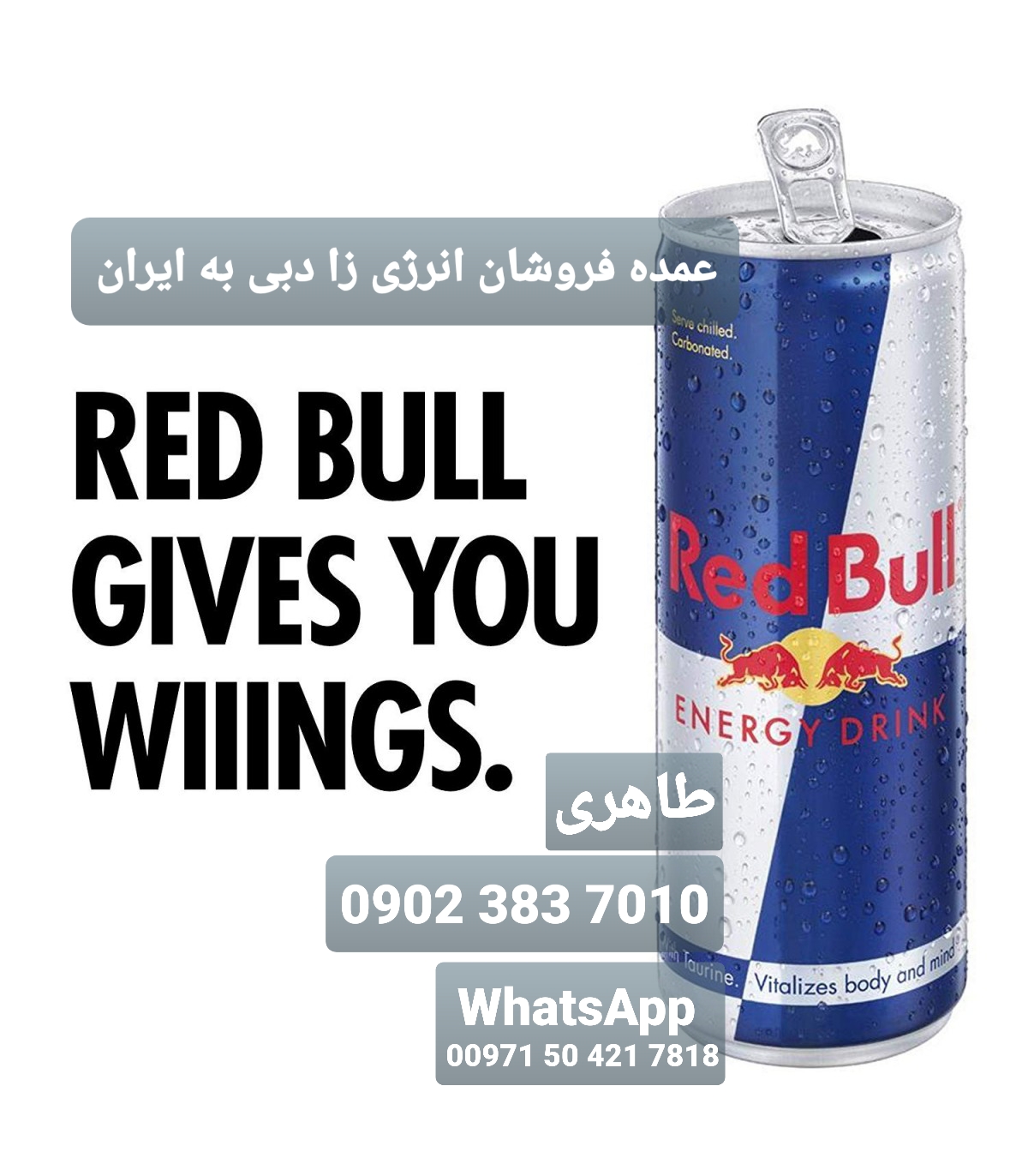 ردبول red Bull دبی انرژی زا